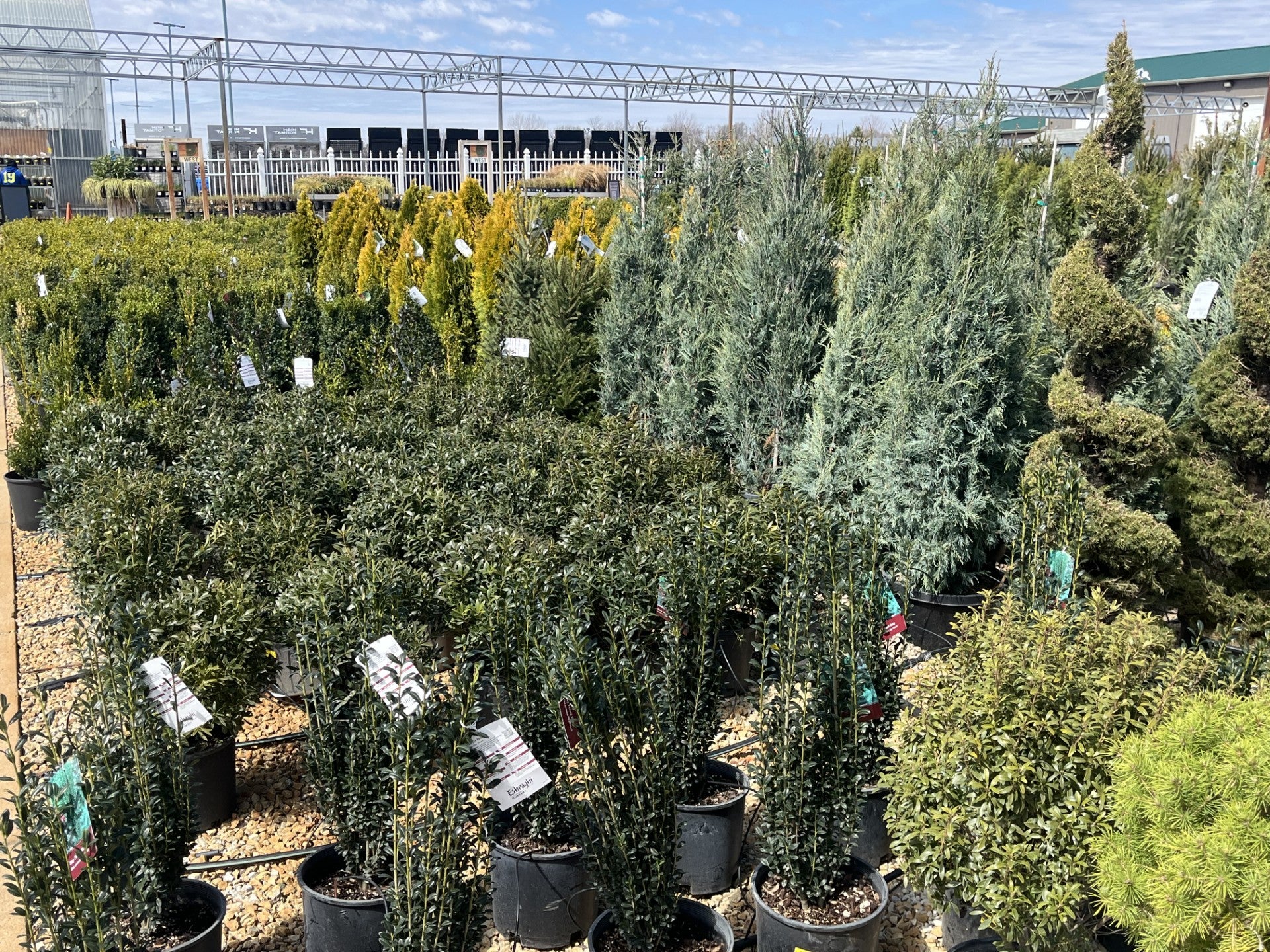 Rooted in Quality Since 1969