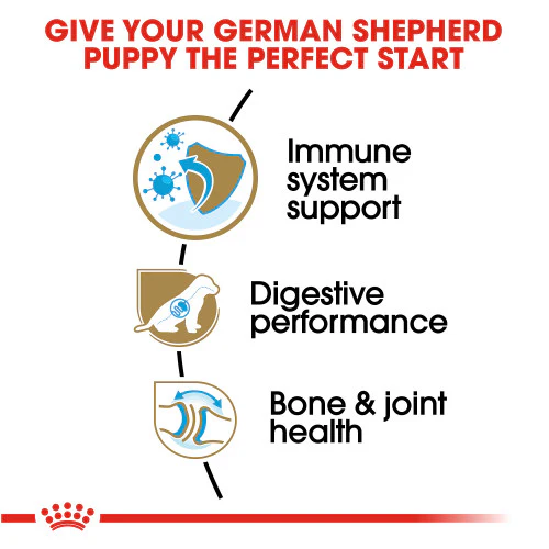 Royal Canin German Shepherd Puppy Dry Dog Food, 30 lb. - Image 3