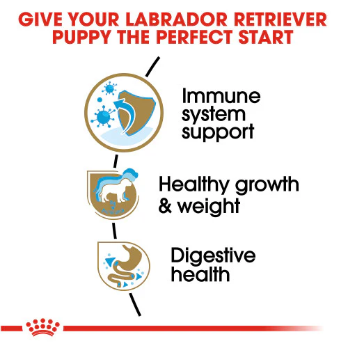 Royal Canin Labrador Retriever Puppy Dry Dog Food, 30 lb. - Image 3